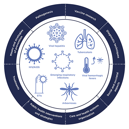 Scientific coordination, facilitation, evaluation, funding 